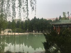 -济南南郊宾馆