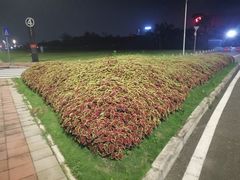 -东莞银行篮球中心