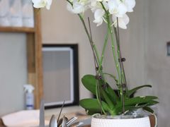 -漾花汐·西餐·下午茶(苏州湾歌林公园店)