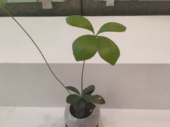 -厦门市图书馆(集美新城馆区)