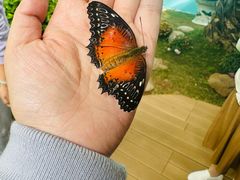 -蝴蝶泉公园