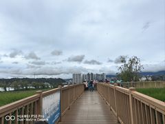 -洱海月湿地公园