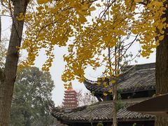 -宝光寺
