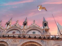 -圣马尔谷圣殿宗主教座堂