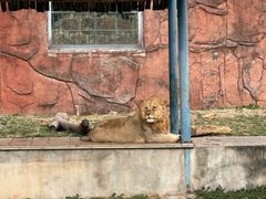 -无锡动物园·太湖欢乐园