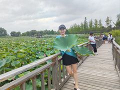 -羊亭河湿地公园