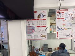-达爱动物医院·犬猫分区·CT·复杂眼科(远洋山水分院)