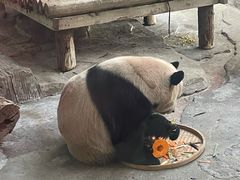 -常州淹城野生动物世界