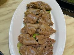-丁老爷子苏香圆