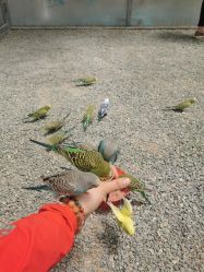 -萌宠亲子动物乐园(槐房万达店)