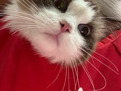 -FAELING PETS美天灵宠物(富力广场店)