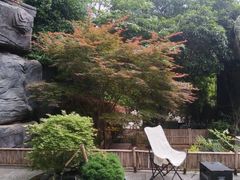 -汤家茗苑·精致私房菜(白沙店)