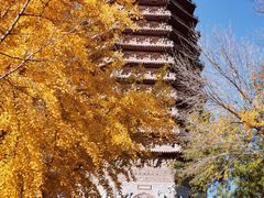 -玲珑塔公园