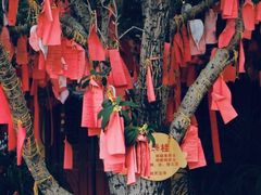 -福州开元寺