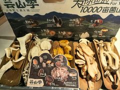 -芸山季·云南山珍菌火锅(南翔印象城MEGA店)