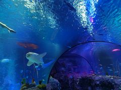 -沈阳海洋探索中心