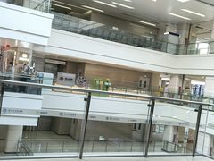 -深圳大学总医院