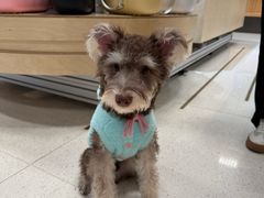 -帕帕拉兹宠物(亚洲旗舰店)