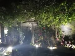 -花之城