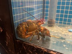 -和和小厨