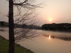 -广富林郊野公园