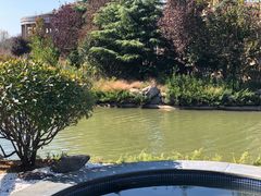 -芭东小镇温泉