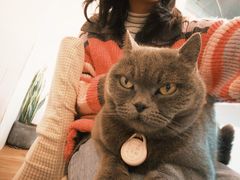 -春笙食堂.丼饭拉面寿司(GOGO新天地店)