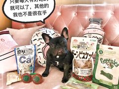 -Double Rui宠物酒店