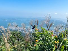 -梧桐山风景名胜区