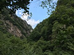 -青峰峡国家森林公园