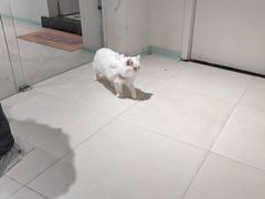 -怪兽屋·羊驼·猫咖·狗咖(俊华广场店)