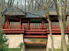 -紫霞湖公园