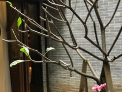 -归觅·西关小姐人文艺术馆(荔枝湾店)