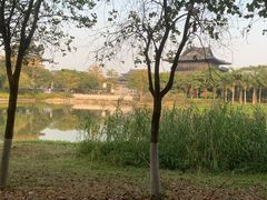 -海珠湖公园