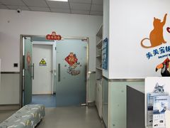 -美美宠物诊疗中心·异宠·骨科(滨江东信分院)