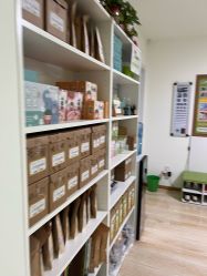 -番小茄小儿推拿(望京店)