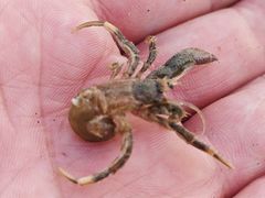 -东戴河风景区-止锚湾