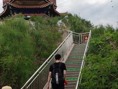 -南大港湿地风景区