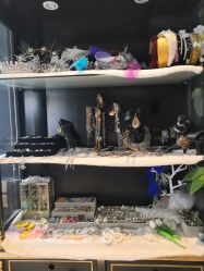 -鼎极摄影(世纪金源店)