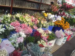 -秦美花卉(天朗·莱茵小城2期店)