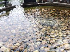 -百脉泉景区