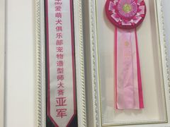 -翊宠yipet猫狗购宠庄园犬舍•猫舍