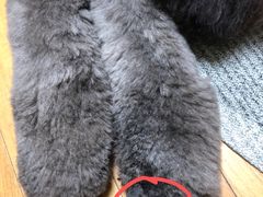 -PETKIT小佩宠物(古北店)