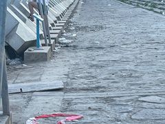 -南汇新城海滩