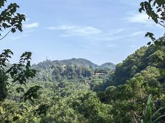 -深圳仙湖植物园