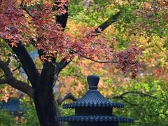 -香山公园
