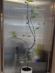 -杜卡诗·美容美发