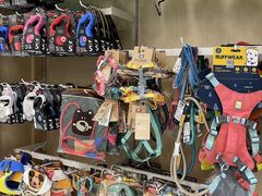 -帕帕拉兹宠物(亚洲旗舰店)