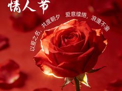 -凯德MALL(望京店)