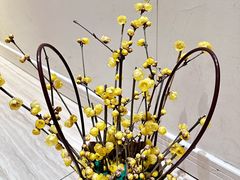 -三圣花乡旅游区